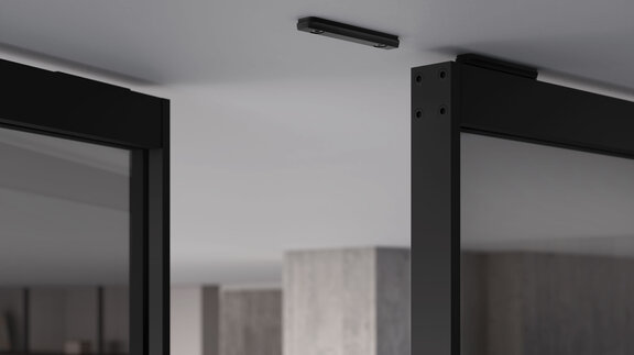 raumplus Pivottür S1200